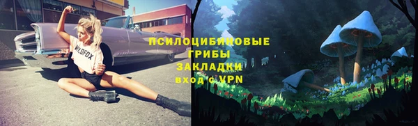 спайс Алексеевка