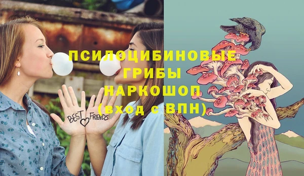 спайс Алексеевка