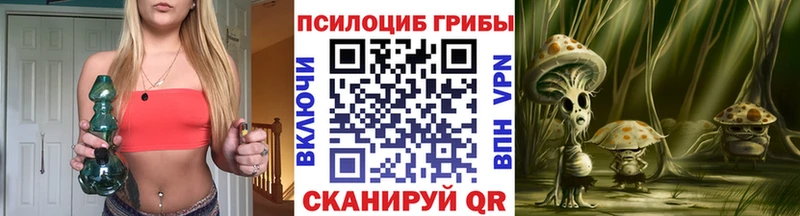 цены   Комсомольск  Псилоцибиновые грибы Psilocybine cubensis 